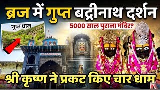 “बद्रीधाम” सम्पूर्ण दर्शन | ब्रज चार धाम यात्रा भाग 1 | Adi badri dham deeg kaman | Braj yatra 