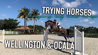 trying horses in wellington & ocala | REAVEAL OF MY NEW HORSE