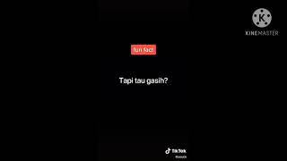 Video tik tok mobile gends