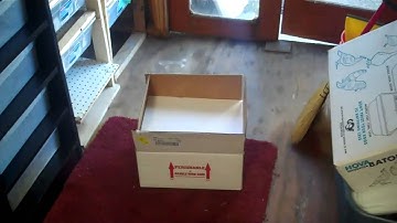 Unboxing Balls from Royal Constrictor designs