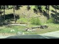 A Video Tour of Deadwood Campground near Lowman, Idaho