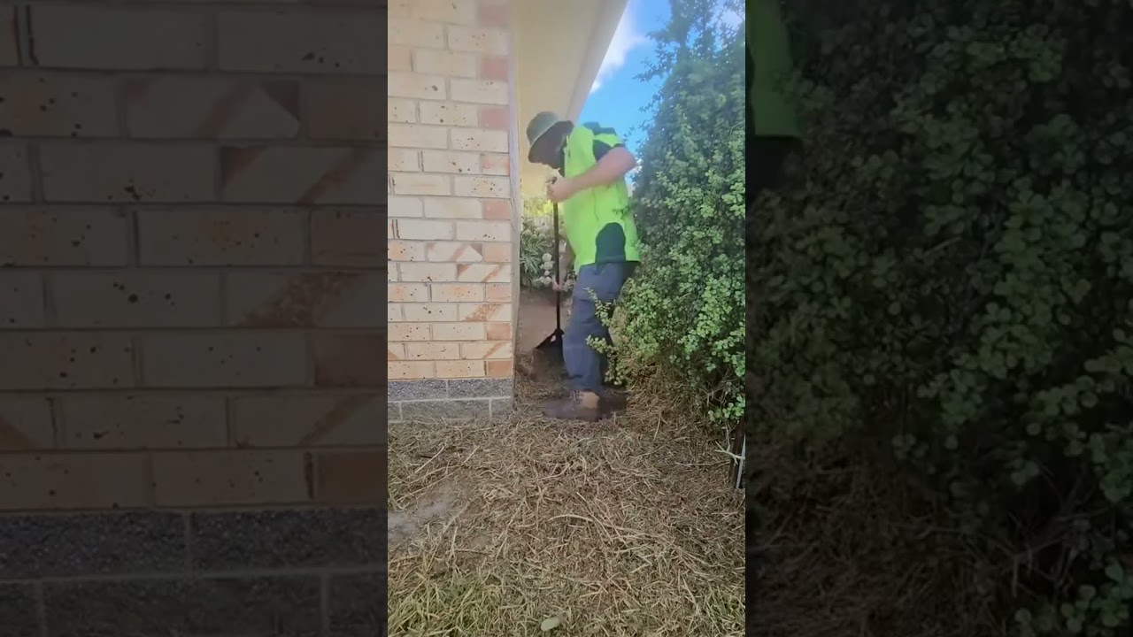 Say goodbye to unruly weeds and hello to a well-maintained yard