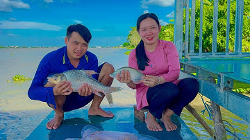 Lần Đầu Quăng Chài Dính Cá Cóc Bự Trên Sông Vàm Nao Cùng Sự Xuất Hiện Của Một Nhân Vật Rất Đặc Biệt