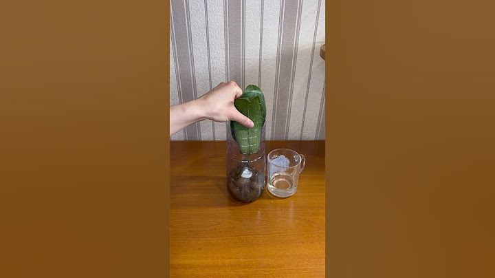 Реанимация орхидеи без Корней