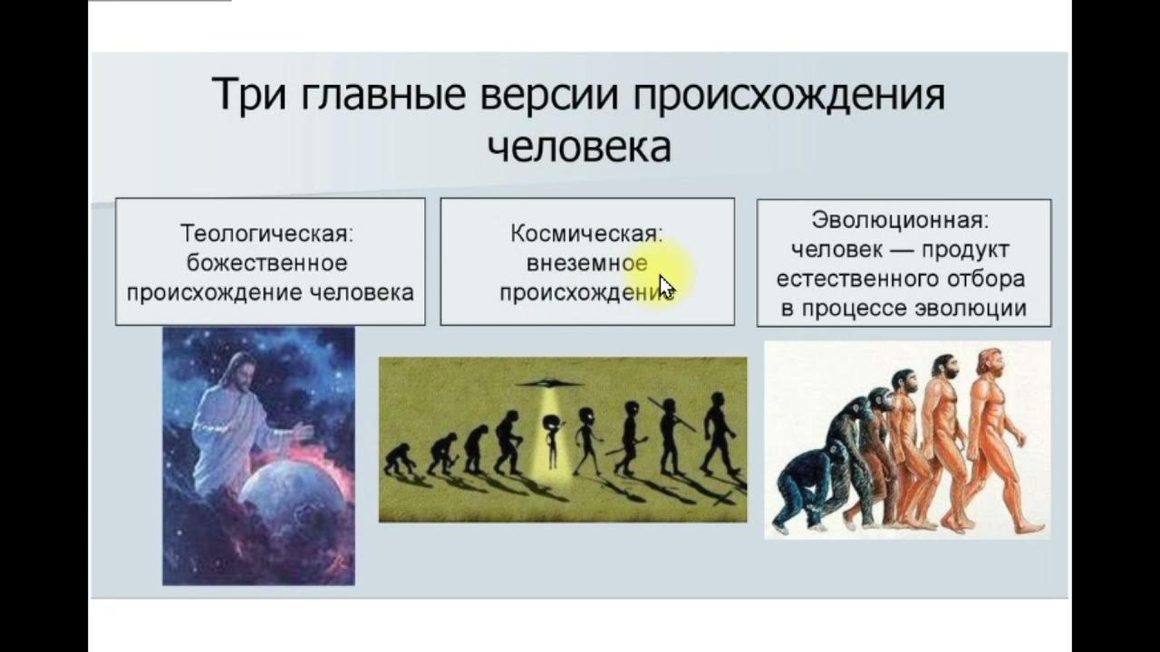 Некоторые эволюционные изменения приводят к появлению. 3 Гипотезы происхождения человека. Три теории происхождения человека схема. Теория происхождения человека 3 теории. Теории появления человека на земле.