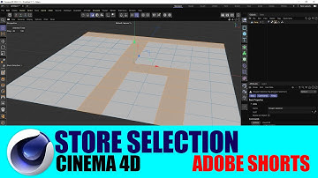 Set Selection or Store Selection  || Cinema 4D || Adobe Shorts