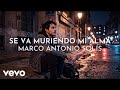 Marco Antonio Solís - Se Va Muriendo Mi Alma (Visualizer)