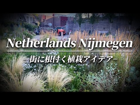 Too Stylish] This is Dutch planting! The combination of bricks and