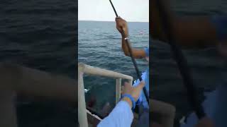 The Best Fishing Experienced in Al Khobar Saudi Arabia