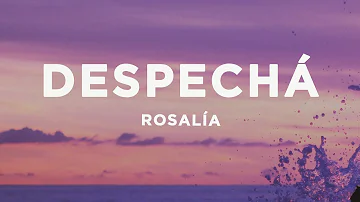 ROSALÍA - DESPECHÁ (Letra/Lyrics)