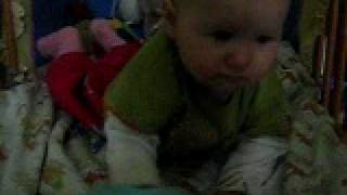 Dalma