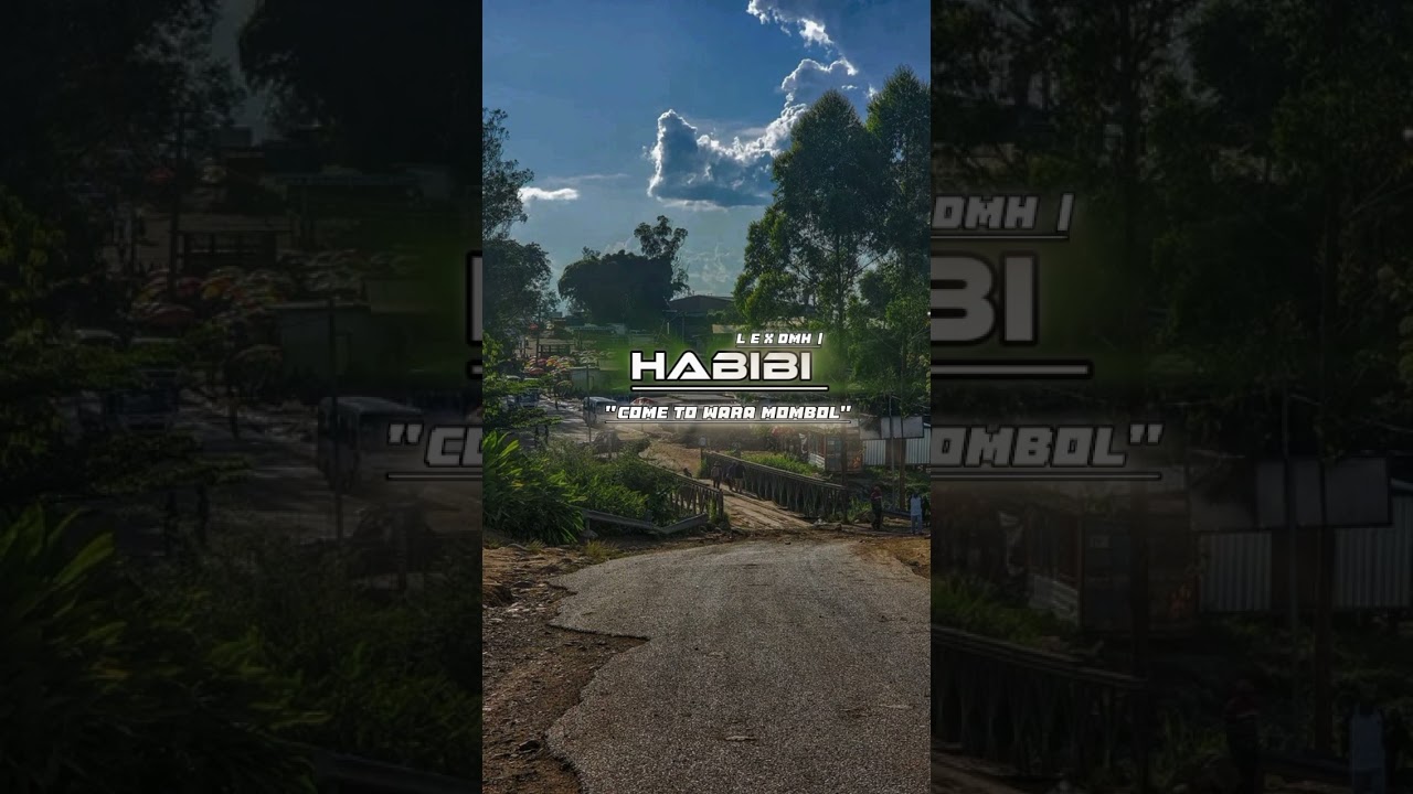 Habibi_( L E X DMH Animal Farm♠️Remix 2024 )