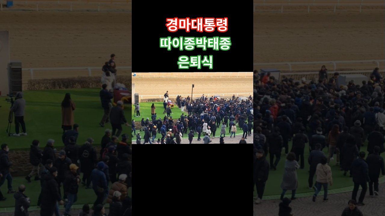#양말.오댕차 #경마 #말#달려라말 #shrots #horse