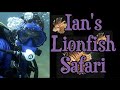 Field To Table Shooting Delicious Lionfish To Protect Our Reefs 