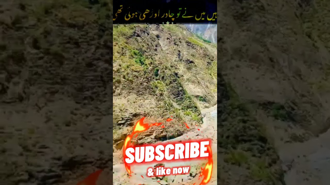 #shorts  Hazrat Ali ke kool Maulana Tariq Jamiel k  #786IslamicGuide