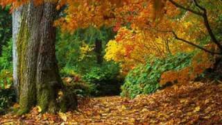 Miniatura del video "Richard Clayderman - Autumn Leaves"