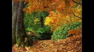Richard Clayderman - Autumn Leaves