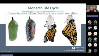 Western Monarch 101 Basic Biology screenshot 4