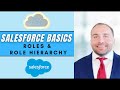 Salesforce basics roles  role hierarchy