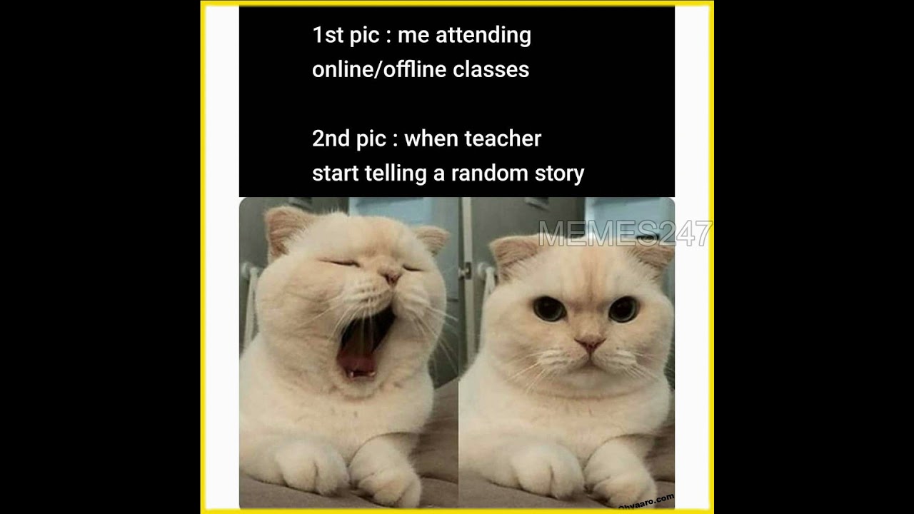 Funny Online Classes memes That Will Make You Laugh(