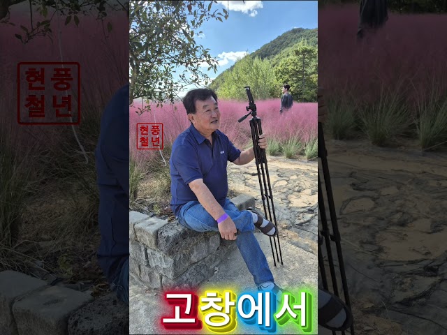 고창여행 다녀왔어요 #풍년현철 #관광버스노래 #여행노래 #트로트 #인생노래
