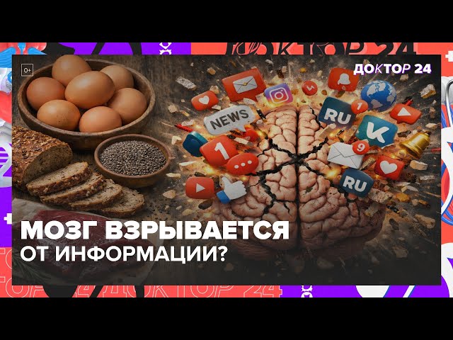 СИНДРОМ ИНФОРМАЦИОННОЙ УСТАЛОСТИ: ПРОДУКТЫ, КОТОРЫЕ СПАСУТ ОТ ПЕРЕГРУЗКИ ИНФОРМАЦИЕЙ | Доктор 24