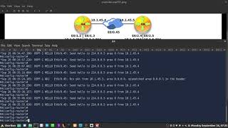 31 - OSPF Deep Dive: OSPF Neighbor Adjacency Troubleshooting