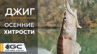 видео: Джиг на реке. Поиск хищника осенью. Тонкости и нюансы! картинка: Джиг на реке. Поиск хищника осенью. Тонкости и нюансы!