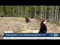Woman sentenced after grizzly bear encounter in Yellowstone National Park