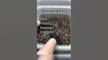 Грунт для фикуса