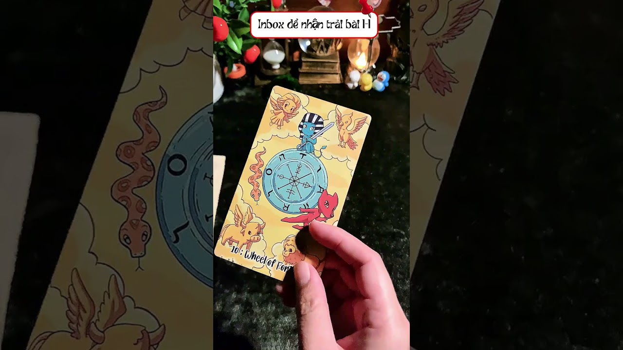 Người mà bạn đang tương tác hiện tại có cảm xúc gì với bạn không? Trải bài chung (timeless)