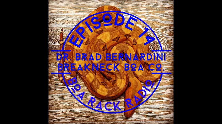 Boa Rack Radio Episode 14: Dr Brad Bernardini of B...
