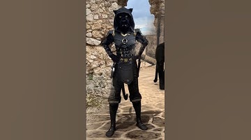 Khajiit Cosplay (Khamira cosplay / TESO / Skyrim) #cosplay #skyrim #khajiit #khajiitcosplay