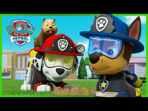 PAW PATROL COMPILATION