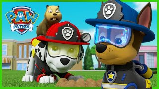 PAW Patrol Compilation