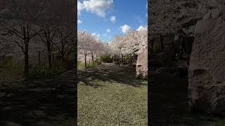 Frederick Meijer Gardens and Sculpture Park, Grand Rapids, Michigan