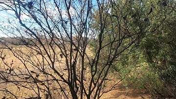 GoPro Hero 9 black shot test. Linear Horizon leveling.