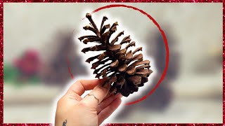 7 *EASY* Pinecone Christmas DIY Crafts / Must try Christmas DIY's for 2023
