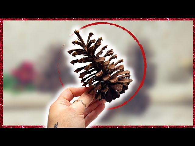 How to Make Quick and Easy Pine Cone Picks  Pine cone decorations,  Christmas pine cones, Pine cone crafts