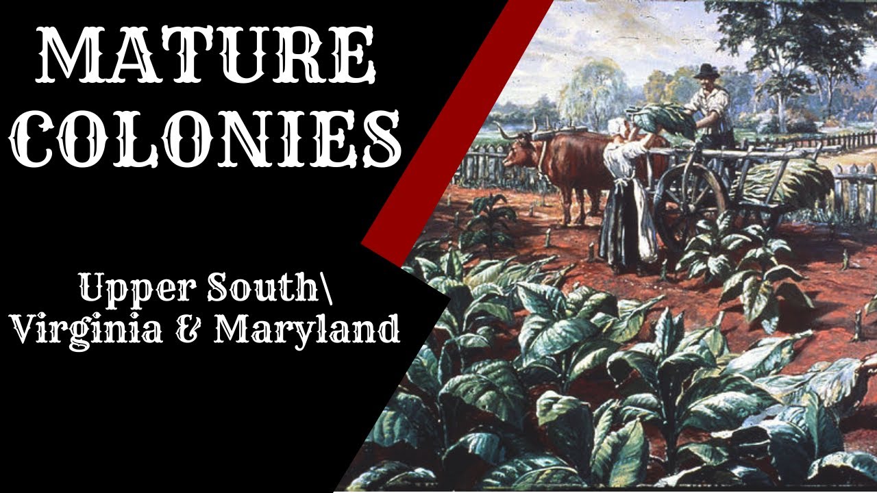From Jamestown to Plantations: The Chesapeake Colonies Explained