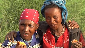 50 Years of Sustainable Development - UNDP 50th Anniversary Ministerial Meeting