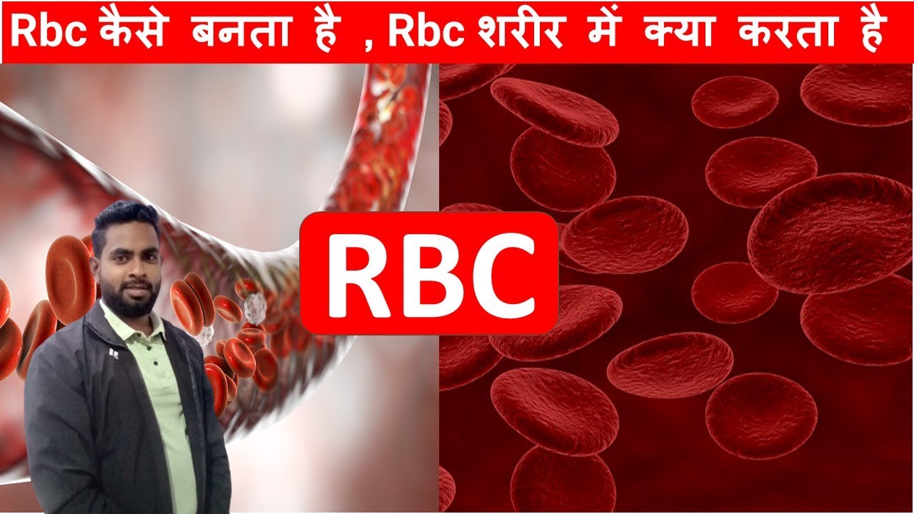 Rbc कैसे बनता है ,Rbc शरीर में क्या करता है ,biology by bhushan sir ...