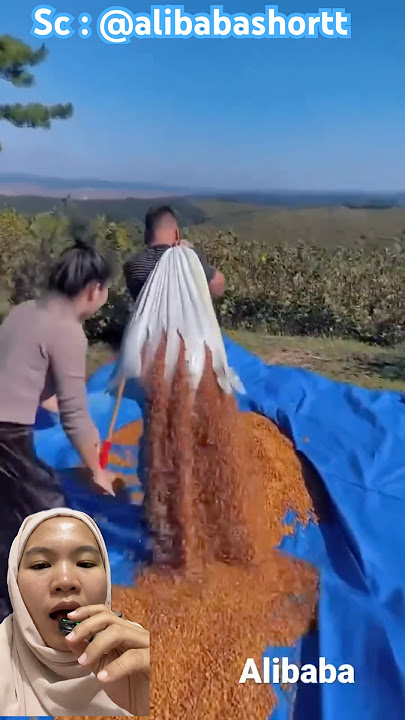 yaampun kok kaka hancurin semua kacang papa sih⁉️😩 @alibabashortt #shorts #funny #dubbing