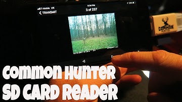 Best Iphone SD Card Reader For Trail Cameras | Common Hunter