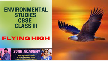 FLYING HIGH || ENVIRONMENTAL STUDIES || CBSE CLASS III || #cbse #birds