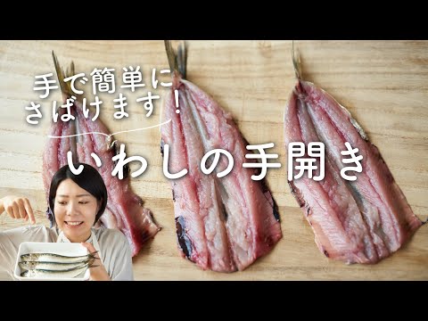 [EASY TO DO BY HAND!] How to Fillet Sardines (Sardine Preparation) Recipe & Instructions