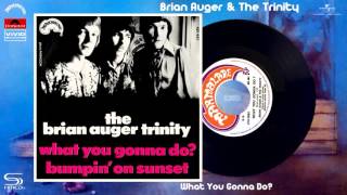 Brian Auger & The Trinity - What You Gonna Do (Remastered SHM-CD) [Soul-Jazz - Mod Jazz] (1969)