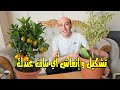 طريقة تشكيل و إنعاش و تجديد أي نبتة عندك Rejuvenating Shaping Weak Plants طريقة تشكيل و إنعاش و تجديد أي نبتة عندك Rejuvenating Shaping Weak Plants