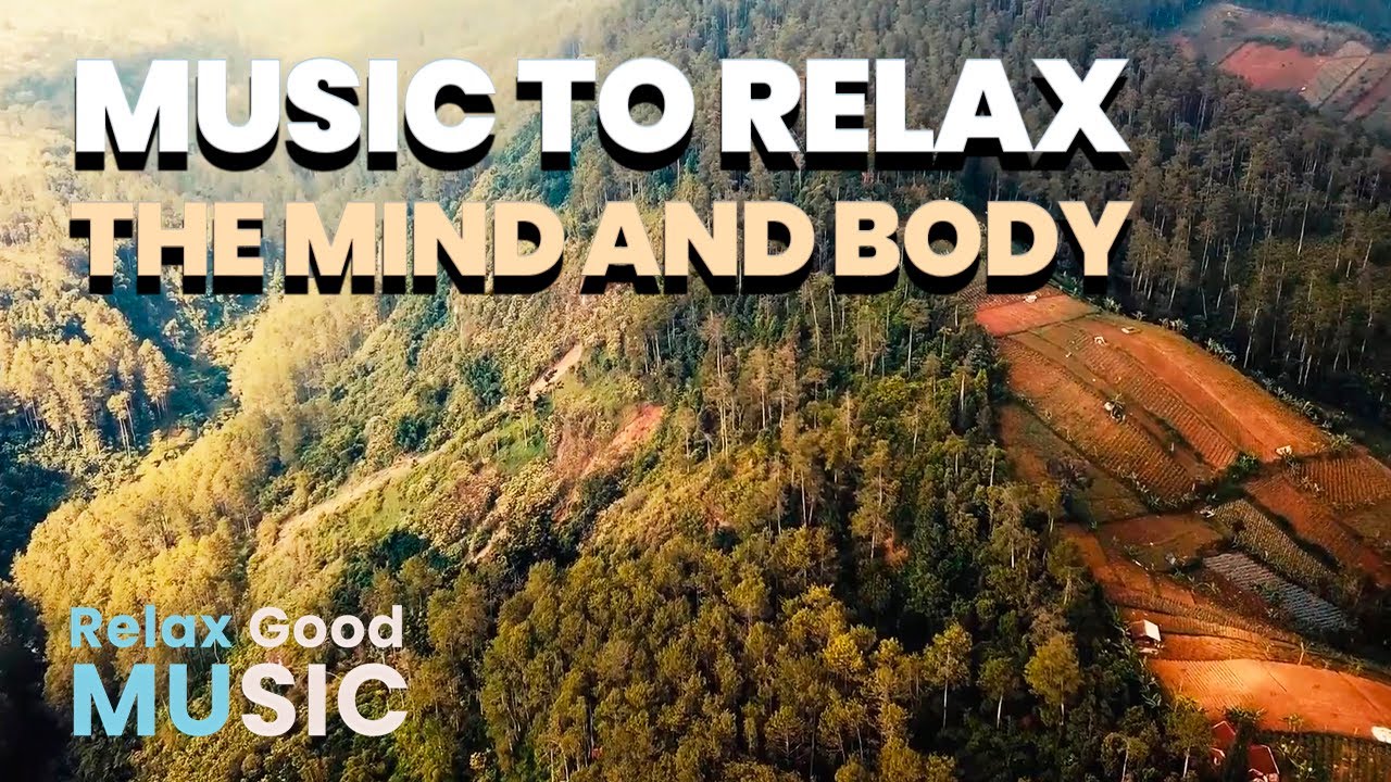Calming meditation music to relax the mind and body - YouTube