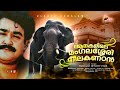 An extraordinary elephant|ആനകളിലെ മംഗലശേരി നീലകണ്ഠൻ|Karimanoor Sekharan| Elephant|Keechan|EPI 67